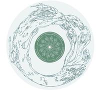 Lee Ranaldo - Countless Centuries Fled into the Distance Like So Many Storms [VINYL]
