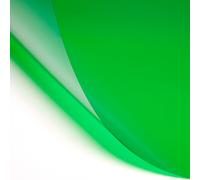 Lee Studio Lighting Filter Half Sheet 610x530mm - 122 Fern Green