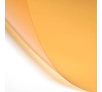 Lee Studio Lighting Filter Half Sheet 610x530mm - 205 Half CT Orange