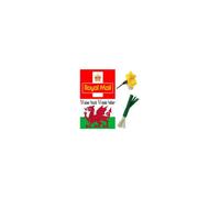 (Leek) New Wales Cymru Am Byth St David's Day March 1st Daffodil or Leek Pin Badge