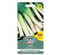 Leek Seeds Grow Your Own Garden Vegetables Norwich F1 Mr Fothergill's