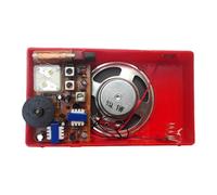 LeeQinersw AM Radio DIY Kit,Electronic Soldering Project Practical Professional Educational Learning for Electronics Lovers