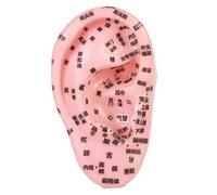 LeeQinersw Human Ear Acupoint,Auricular Model,Professional,Props,Ear Teaching Model Massage Practice Tool for Nursing SPA Training