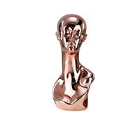 LeeQinersw Mannequin Head Wig Stand Holder Hat Display Stand Hat Rack for Headband Home, Rose Gold