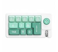 LeeQinersw Mechanical Keyboard Keypad With 12 Keys Shortcut Pad Joystick Scroll Wheel RGB Backlight Hot Swappable Build USB C Cable suitable for music production animation coding study, Green