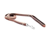 Leerburg's 1/2 inch by 6 Foot Brown Latigo Leather Leash with Stainless Steel Hardware, Stainless Steel Clip, Stainless Steel pop Riveted and Sewn, Amish Made in Wisconsin