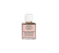 Lefranc Bourgeois 301658 Charbonnel, Lithographic Ink, Images to Make Lithographs and Plates - 75ml Bottle