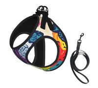 Left and Right Brain Advantage Print Soft Mesh Dog Harness and Leash Set Pet Puppy Cat Comfort Padded Vest No Pull Harnesses