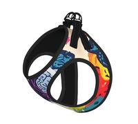 Left And Right Brain Advantage Printing Dog Summer Harness With Leash Set,Adjustable And Reflective Step-In Puppy Pet Vest Harnesses