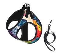 Left And Right Brain Advantage Printing Dog Summer Harness With Leash Set,Adjustable And Reflective Step-In Puppy Pet Vest Harnesses