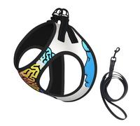 Left And Right Brain Printing Dog Summer Harness With Leash Set,Adjustable And Reflective Step-In Puppy Pet Vest Harnesses