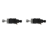 LEFT AND RIGHT SET SHOCK ABSORBER, DRIVER CAB SUSPENSION CB0091