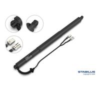 LEFT ELECTRIC MOTOR, TAILGATE 178351