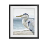 Left Gazing Heron Coastal Bird, 17 x 21 Inch Framed Print Under Glass