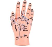 Left Hand Acupuncture Point Model,Flexible Bendable Hand Acupoint Massage Reflection Area Model for Teaching