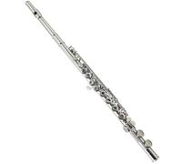 Left-handed 16-hole C Key Flute Closed Holes Nickel-plated Flute Instrument With E Key Flute for Beginner