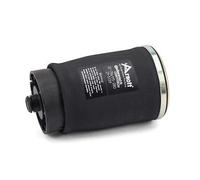 Arnott A-2502 Air Spring, suspension