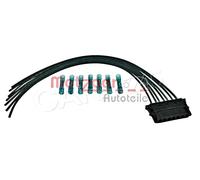 Left Rear Right Tail Light Cable Repair Set 00-15 A2115450328