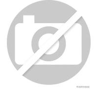 LEFT/ REAR SPLASH PANEL BRAKE DISC FITS: FITS FOR NISSAN X-TRAIL II 2.0 DCI/2