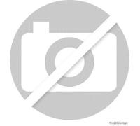 LEFT/ REAR SPLASH PANEL BRAKE DISC FITS: FITS FOR X-TRAIL II 2.0 DCI/2.0 DCI