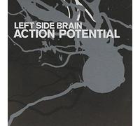 Left Side Brain - Action Potential