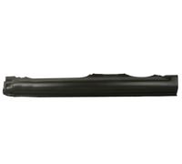 Left Sill Entry Plate Fits: CITROEN C1, PEUGEOT 107 4D 06.05-12.14