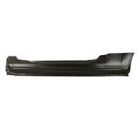 Left Sill Entry Plate Fits: CITROEN C2 03/09-11/09