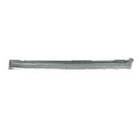 Left Sill Entry Plate Fits: JAGUAR X-TYPE 01/06-12/09