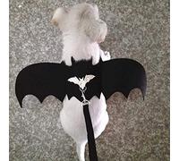 Leftwei Pet Harness Vest with Bat Leash Cute Costume for Cats and Dogs Soft and Breathable Design (S)