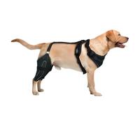 Leg Sleeve Support for Dogs - Adjustable Knee Joint Stabilizer, Metal Support Frame, Thigh Compression Protection, Supportive Equipment After | Aid For The Like