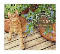 Legacy Kittens 13 x 12 Paper 2025 Hanging Wall Calendar