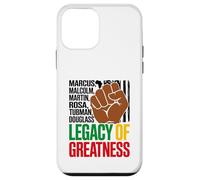 Legacy Of Greatness Heroes In Black History Pan Africanism Case for iPhone 12 mini