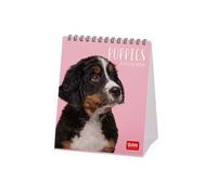 Legami - 2026 Desk Calendar, Puppies Desk Calendar, 12 Months and Yearly Planner, in 6 Languages, Zodiac Signs, International Holidays, 12 x 14.5 cm