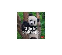 Legami - 2026 Wall Calendar, Life Is Pandastic, Small Wall Calendar, 12 Months and Yearly Planner, in 6 Languages, Space for Notes, Zodiac Signs, International Holidays, 18 x 18 cm