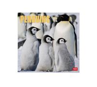 Legami - 2026 Wall Calendar, Penguins, Large Wall Calendar, 12 Months and Year Planner, in 6 Languages, Space for Notes, Zodiac Signs, International Holidays, 30 x 29 cm
