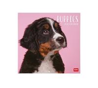 Legami - 2026 Wall Calendar, Puppies, Large Wall Calendar, 12 Months and Year Planner in 6 Languages, Space for Notes, Zodiac Signs, International Holidays, 30 x 29 cm