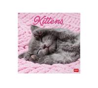 Legami - 2027 Wall Calendar, Kittens, Large Wall Calendar, 12 Months and Yearly Planner, in 6 Languages, Space for Notes, Zodiac Signs, International Holidays, 30 x 29 cm