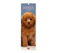 Legami - 2027 Wall Calendar, Puppies Small Wall Calendar, 12 Months and Yearly Planner, in 6 Languages, Space for Notes, Zodiac Signs, International Holidays, 16 x 49 cm