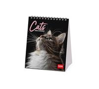 Legami - Desk Calendar 2026, Cats Desk Calendar, 12 Months and Yearly Planner, in 6 Languages, Zodiac Signs, International Holidays, 12 x 14.5 cm