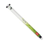 Legami Erasable Gel Pen, 0.7 mm Tip Diameter, Black Ink, Panda Design, Does Not Ruin the Paper, Thermosensitive Ink