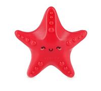 LEGAMI Unisex - Adult Stakes Set of 4 Beach Towel Stoppers, Starfish, One Size