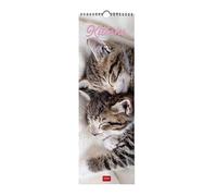 Legami - Wall Calendar 2024, 12 Months and Annual Planner 2025, Space for Notes and Notes, Number of the Week, Zodiac Signs and International Holidays, Single Cellophaning, 16x49cm