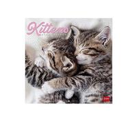 Legami - Wall Calendar 2024, 12 Months and Annual Planner, Space for Notes and Notes, Number of the Week, 6 Languages, Zodiac Signs and International Holidays, Single Cellophaning, 30x29 cm