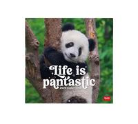 Legami - Wall Calendar 2026, Life is Pandastic, Large Wall Calendar, 12 Months and Year Planner in 6 Languages, Space for Notes, Zodiac Signs, International Holidays, 30 x 29 cm