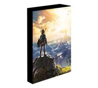 Legend of Zelda Into The Wilds Light Up Canvas Legend of Zelda Multicolor