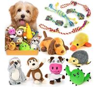 LEGEND SANDY Puppy Toys, Squeaky Dog Toys for Small Dogs, 12 Pack Puppy Chew Toys for Teething, Dog Rope Toy and Cute Stuffed Animals Value Bundle