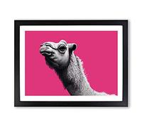 Legendary Camel Framed Print | A2 Black Framed Wall Art | Ready to Hang | Modern Animal Picture | Living Room Bedroom Lounge Office