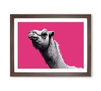 Legendary Camel H1022 Framed Print for Living Room Bedroom Home Office Décor, Wall Art Picture Ready to Hang, Walnut A4 Frame (34 x 25 cm)