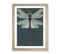 Legendary Dragonfly Framed Print | A2 Oak Framed Wall Art | Ready to Hang | Modern Animal Picture | Living Room Bedroom Lounge Office
