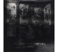 Legendary Pink Dots - Synaesthesia [VINYL]